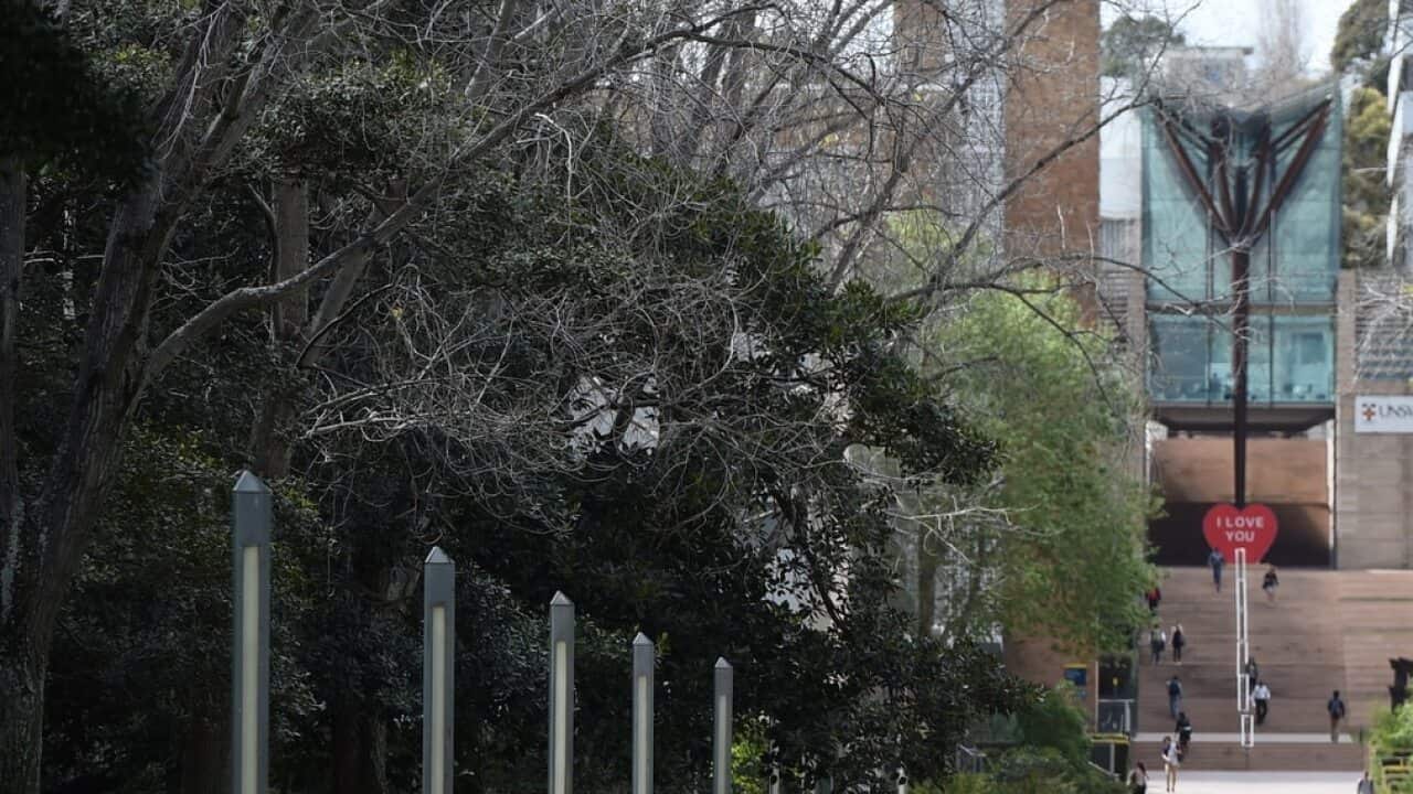 Students at the University of New South Wales