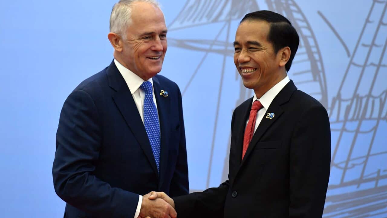 Prime Minister Malcolm Turnbull is greeted by Indonesia's President Joko Widodo during the Indian Ocean Rim Association (IORA) leaders summit in Jakarta.
