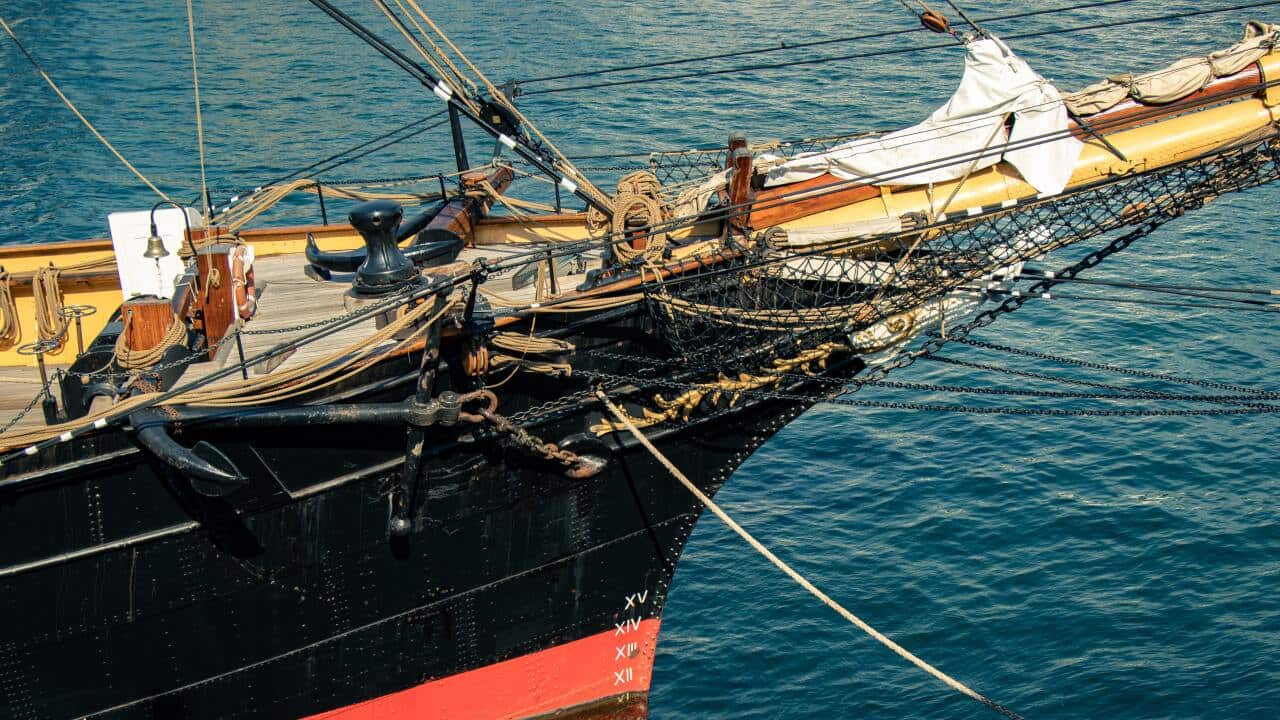 mitchell-luo-wdIgLS6u5-U-unsplash (1).jpg