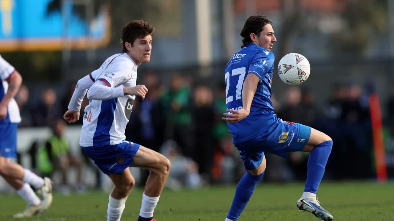 Luca Tevere of Avondale FC in action during the Australia Cup Semi Final match between Avondale FC and the Newcastle Jets FC at Avenger Park in Melbourne, Sunday, August 31, 2025.