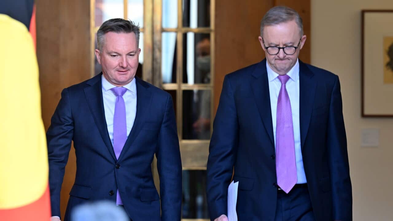 ANTHONY ALBANESE CLIMATE PRESSER