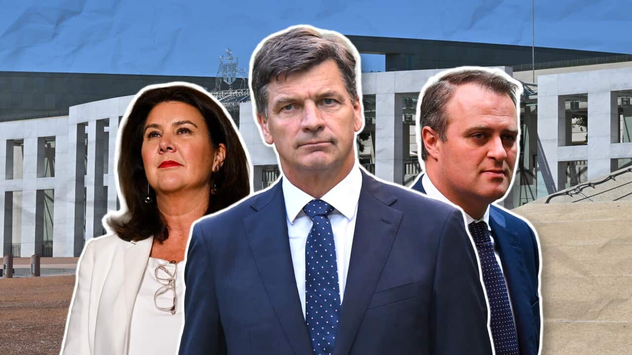 TAYLOR HUME WILSON GRAPHIC