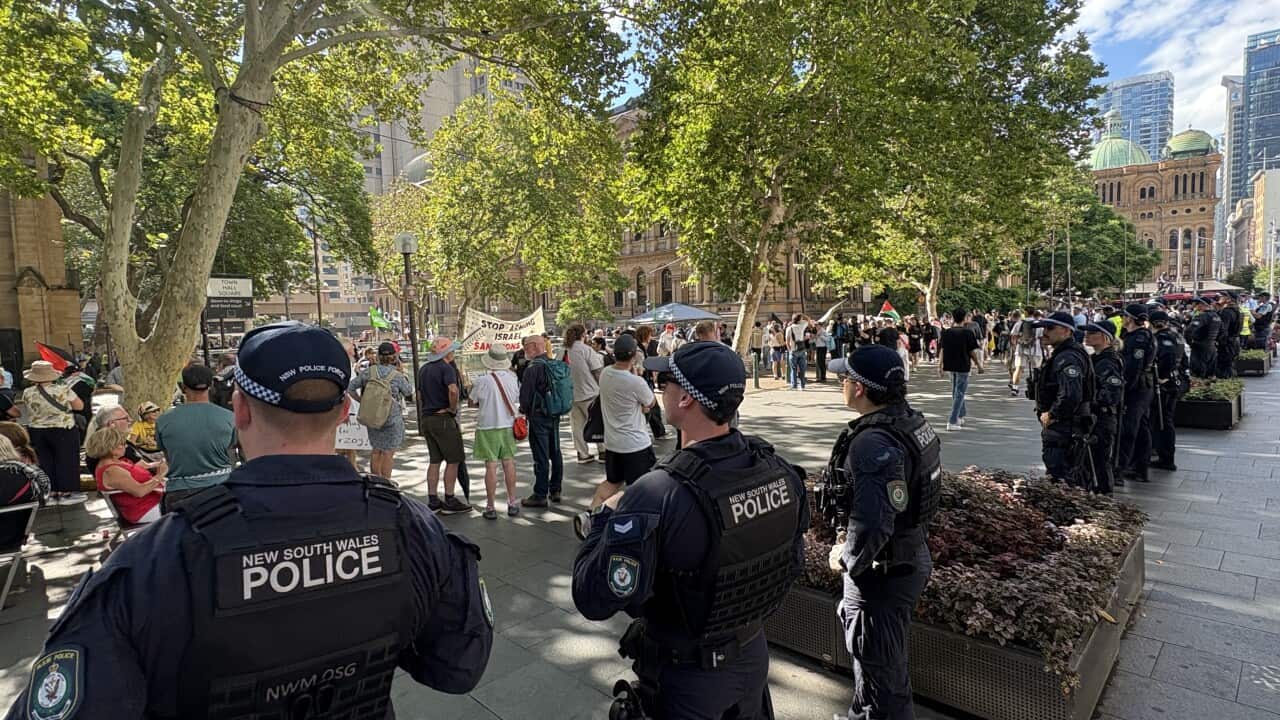 NSW police in Sydney