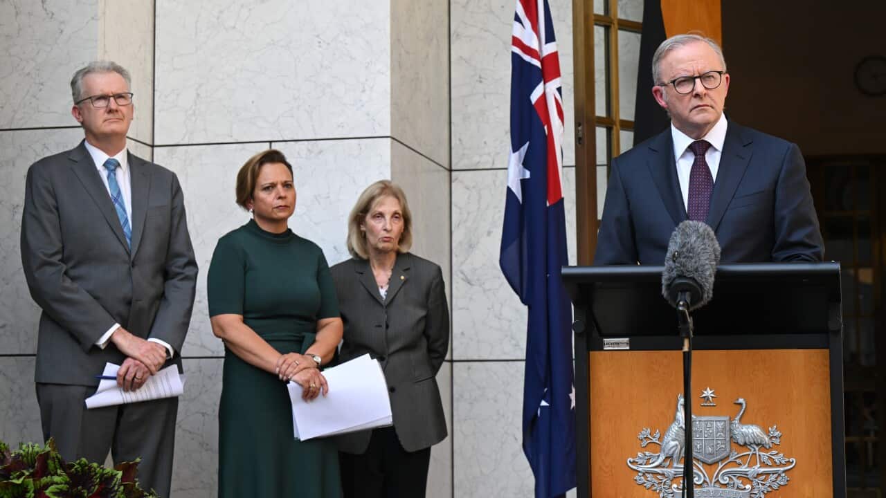 ALBANESE ROYAL COMMISSION ANNOUNCEMENT