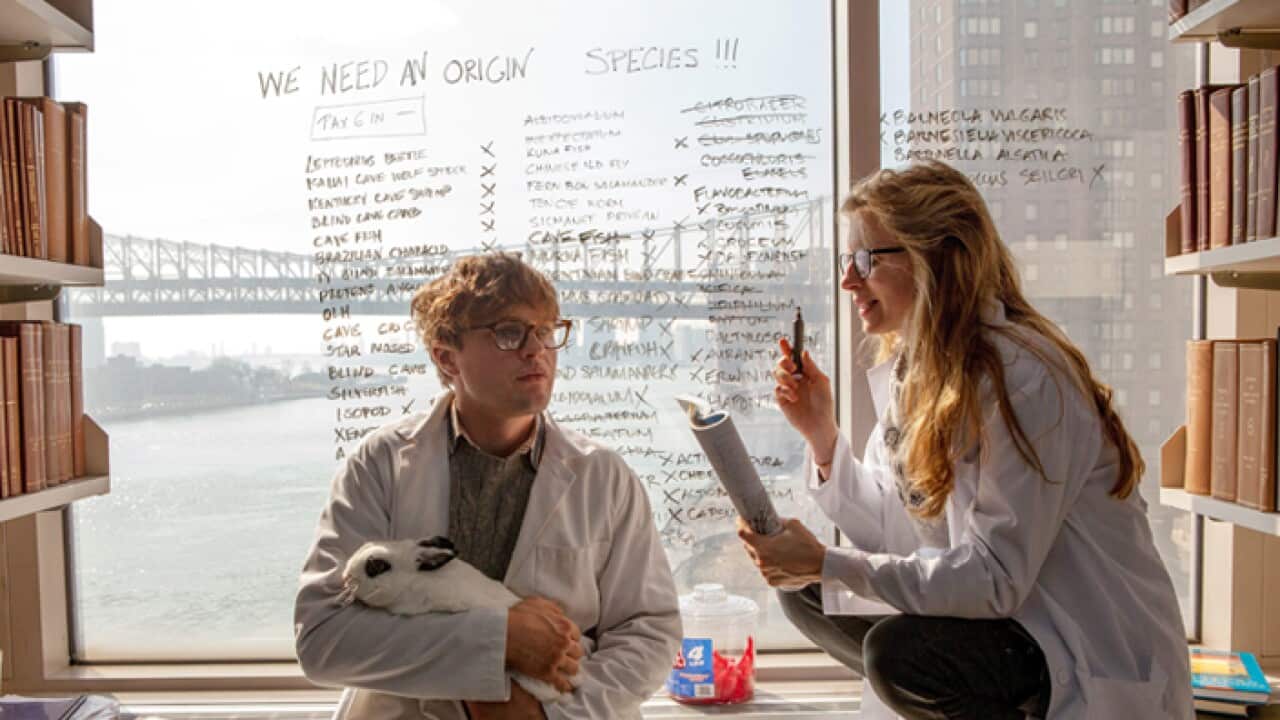 I-Origins_704_5.jpg