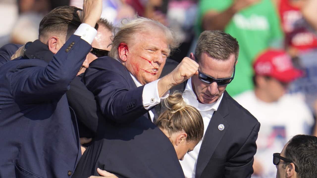 Election 2024 Trump