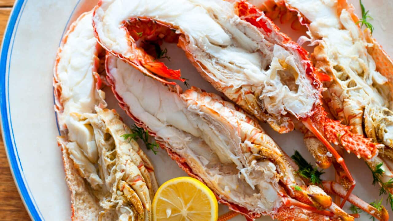 Dill-cooked lobster with lemon mayonnaise