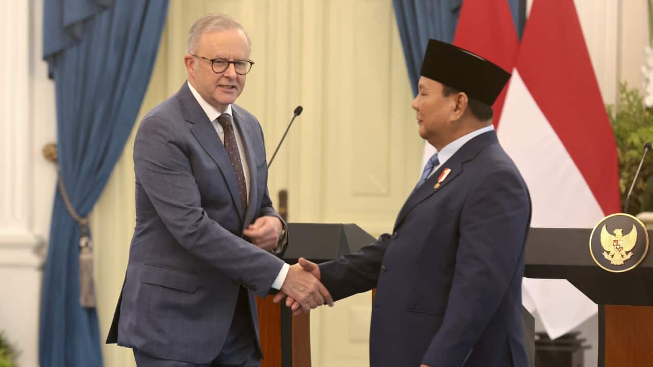 Australian Prime Minister Albanese meets Indonesian President Prabowo in Jakarta