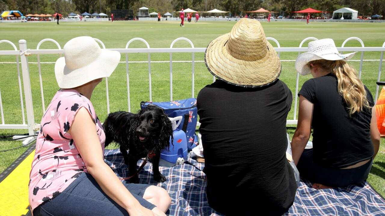 Spectators at a Women's Big Bash League match