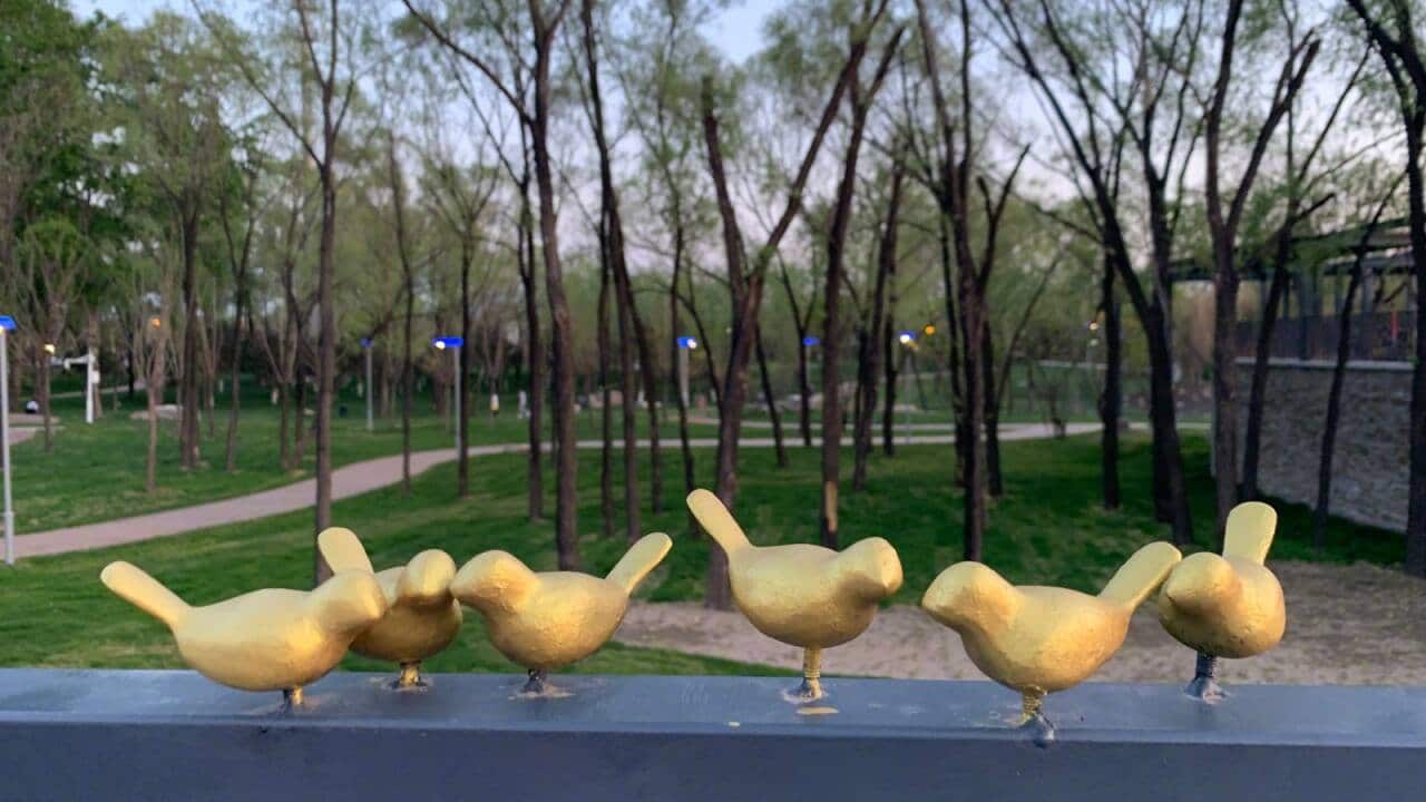 Image for read more article ''