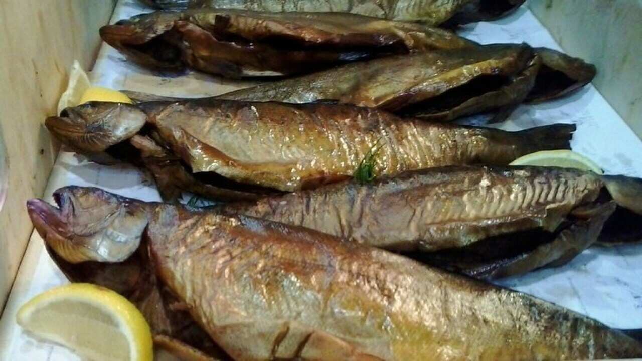 Trout