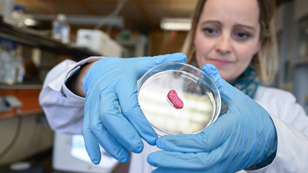 Lab-grown meat: Could Australia change its laws for this ‘cell-based’ poultry option? Lab-grown meat: Could Australia change its laws for this ‘cell-based’ poultry option?