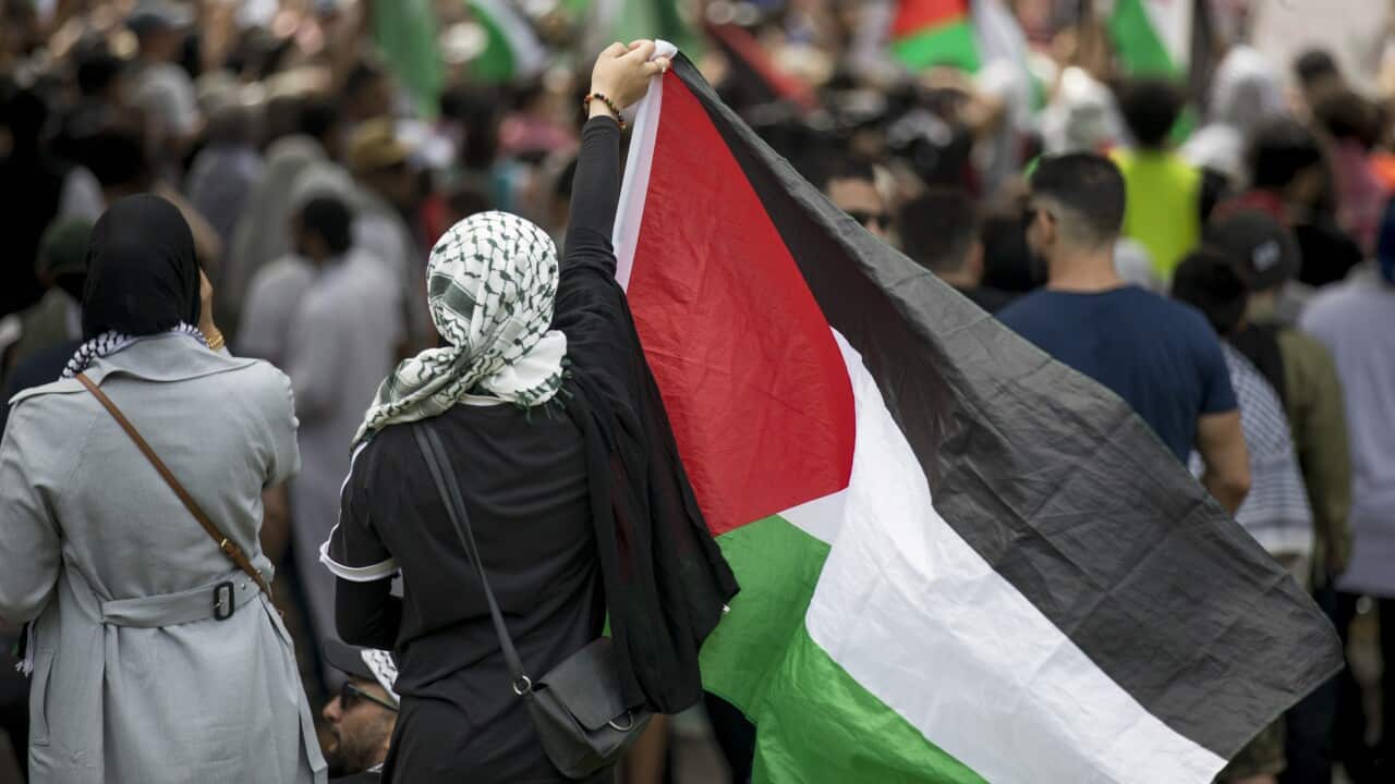 A person wearing a keffiyeh and holding a Palestinian flag is following a group of protesters at a rally.