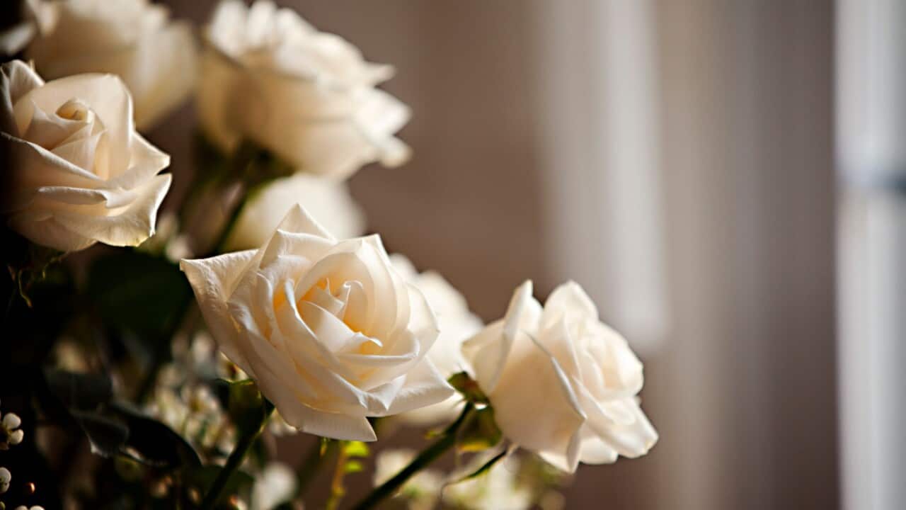 Image for read more article 'ΔΕΙΤΕ ΑΚΟΜΗ'