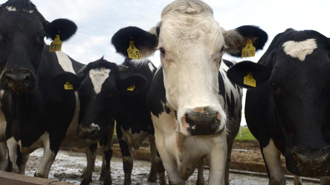 Image for read more article 'READ MORE'