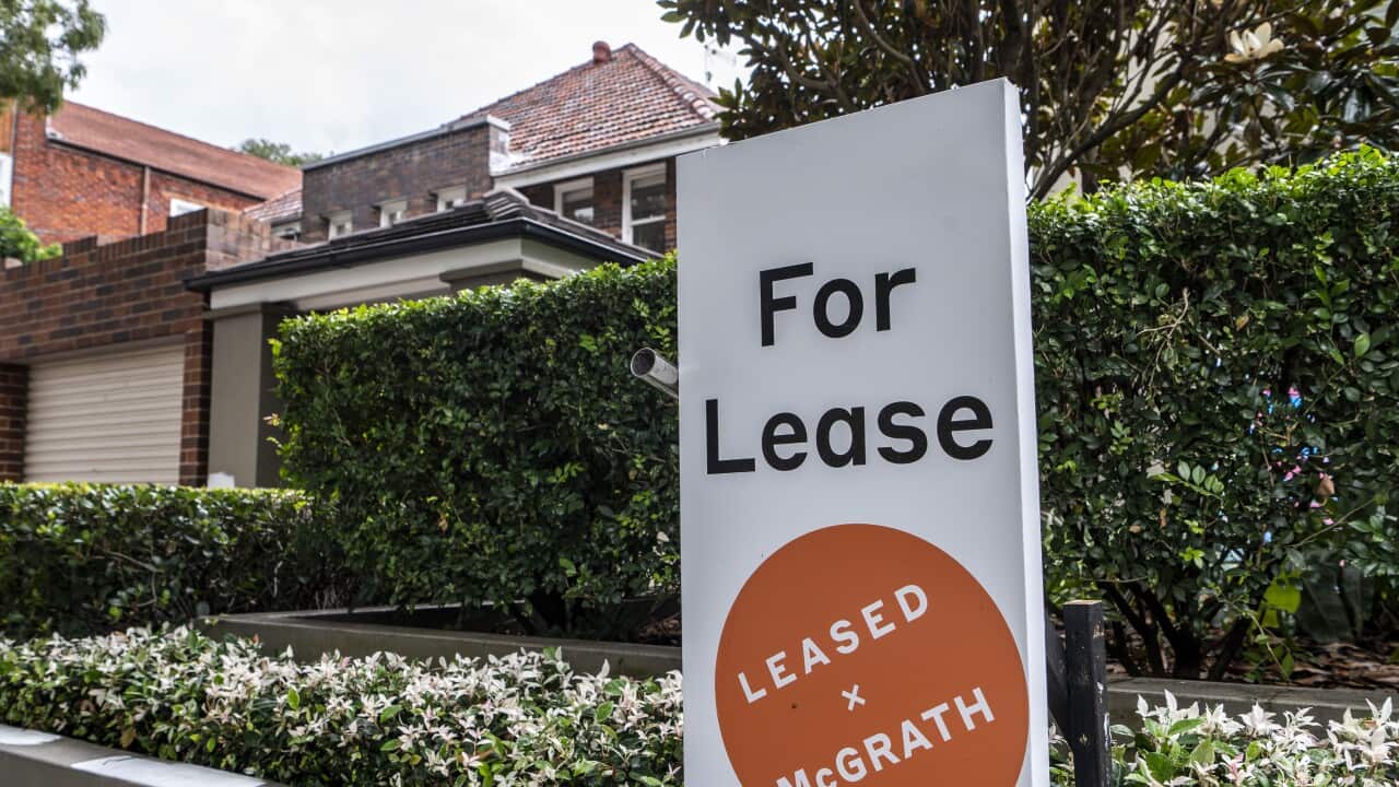 RENTAL CRISIS SYDNEY