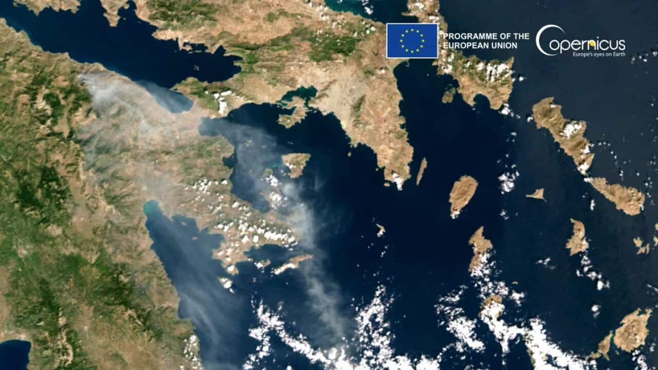 Copernicus_Facebook_Fire in Corinthia_Greece_021024.jpg