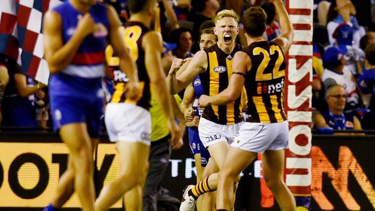 James Sicily of the Hawthorn Hawks celebrates his goal