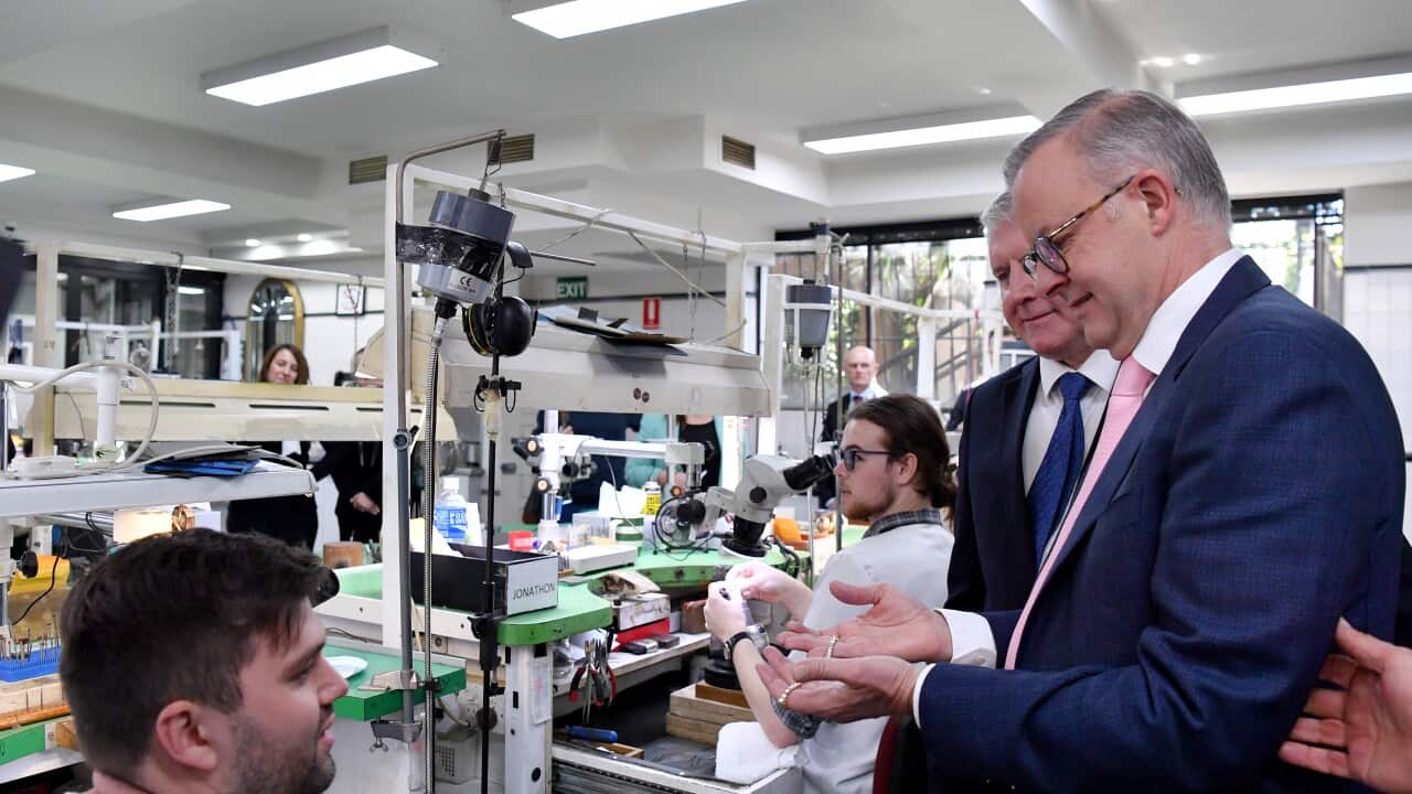 ANTHONY ALBANESE SYDNEY VISIT