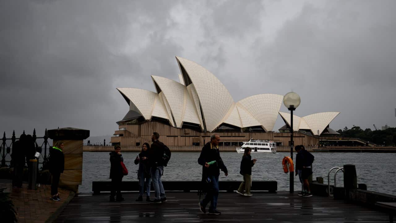 SYDNEY DAILY LIFE