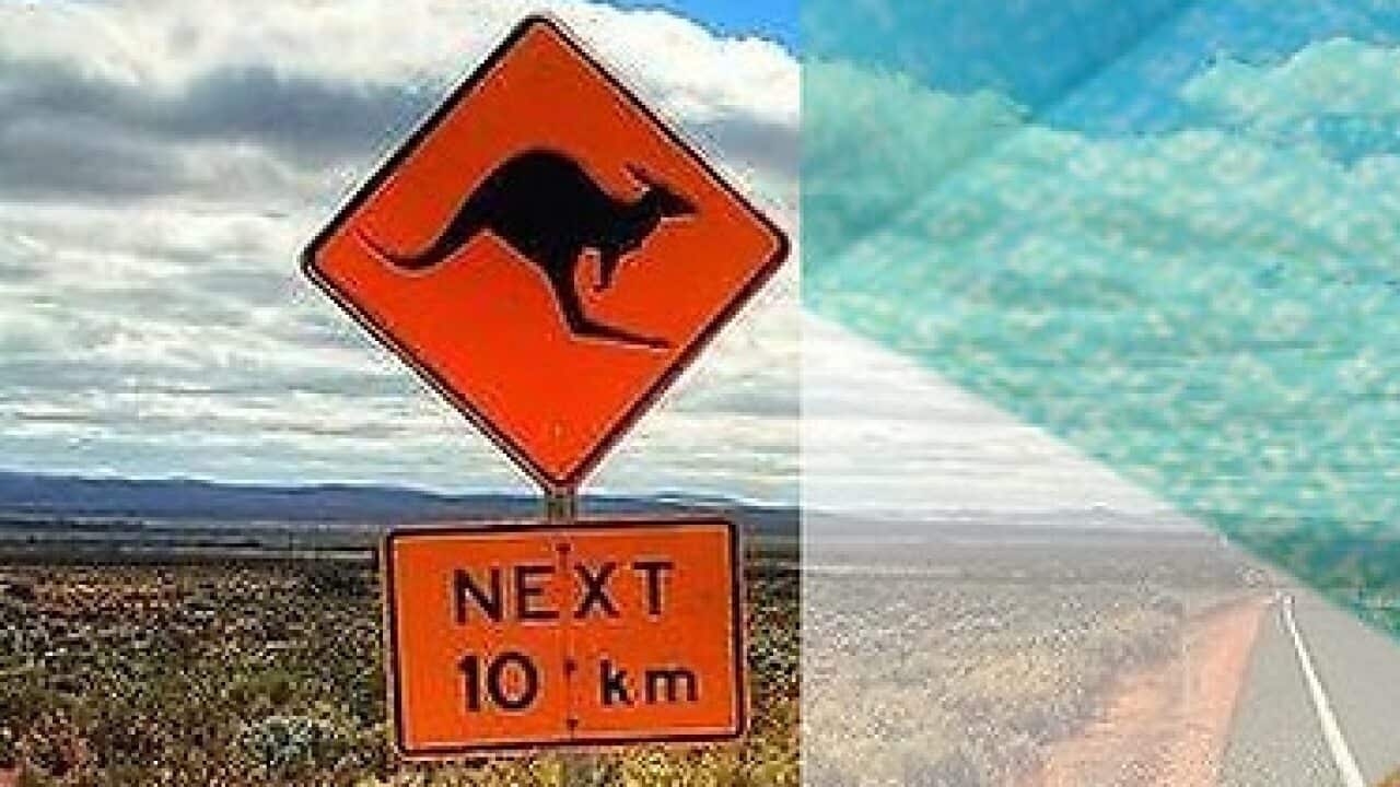 Image for read more article ''