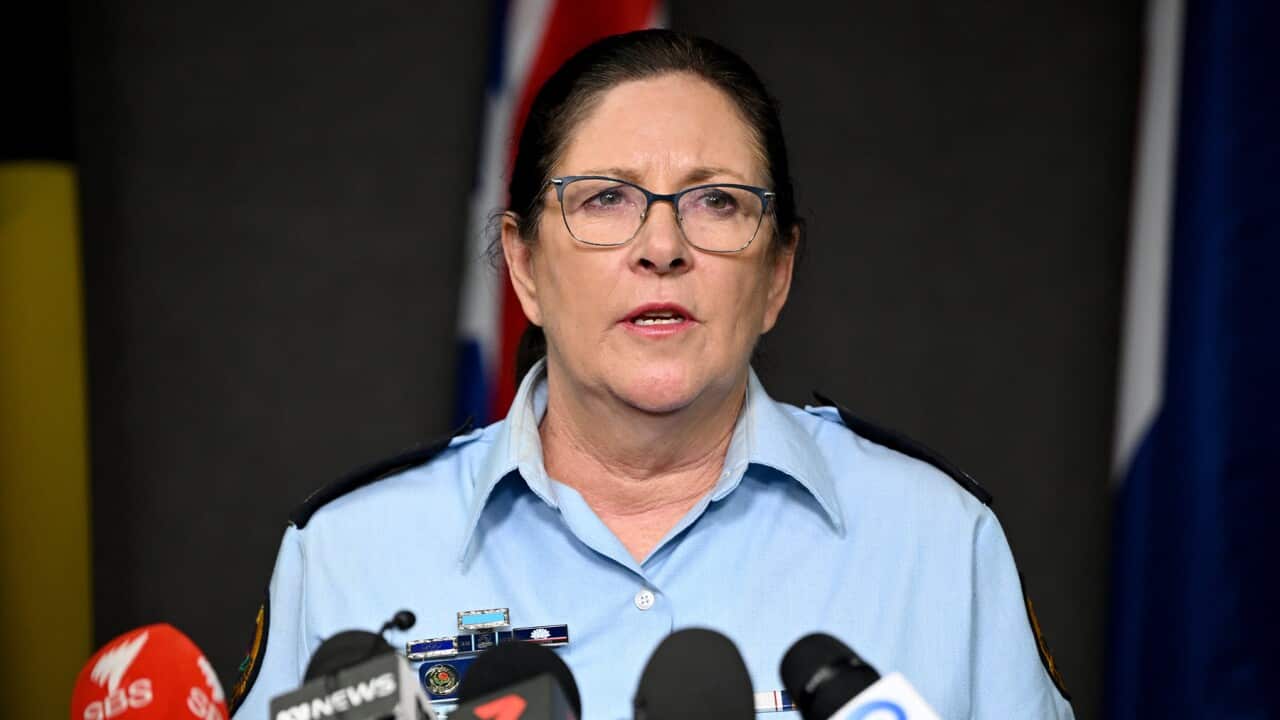 The NSW SES Commissioner Carlene York (AAP).jpg