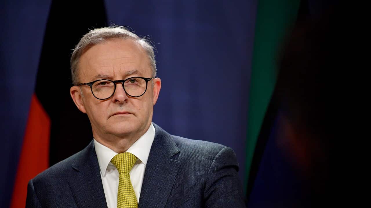 ANTHONY ALBANESE SYDNEY PRESSER