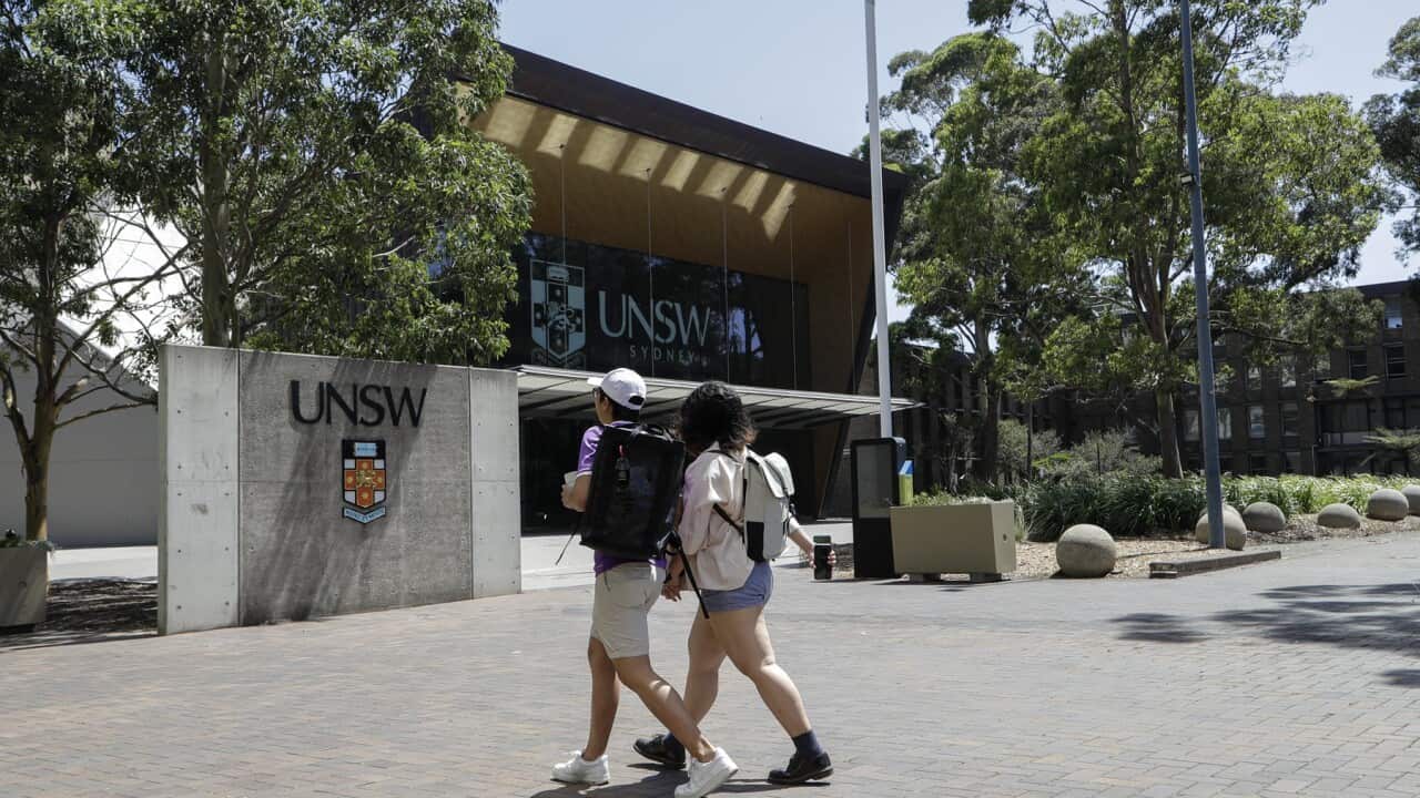 Students at a Sydney university campus
