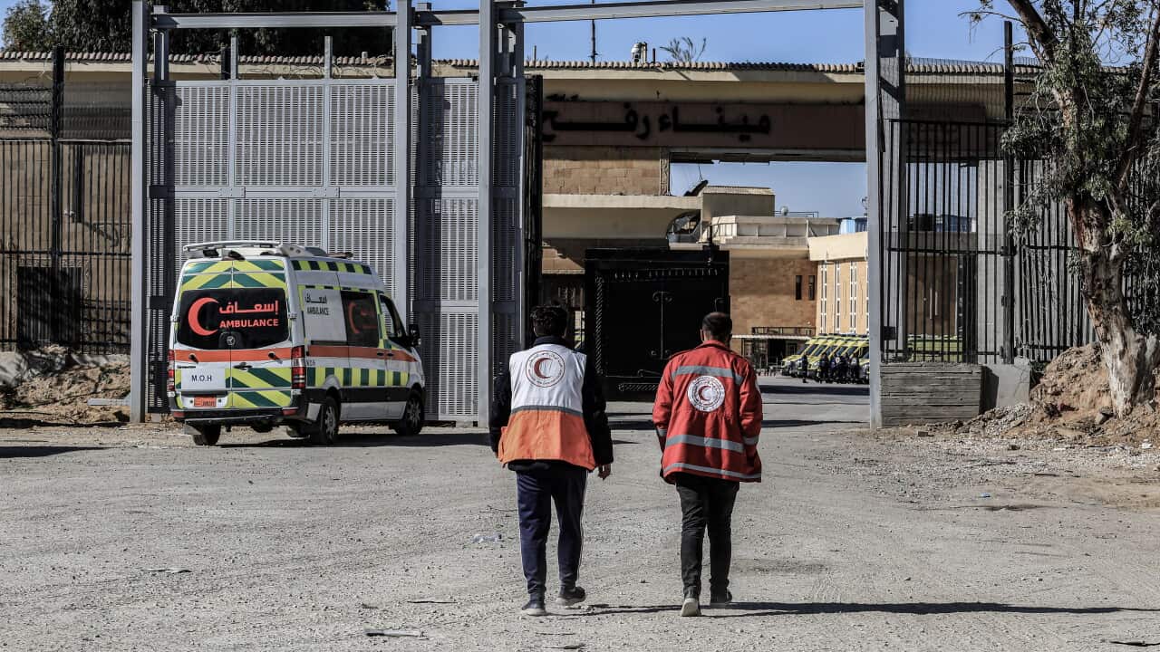 Concerns over how Palestinians left Gaza sparked Australian visa cancellations Concerns over how Palestinians left Gaza sparked Australian visa cancellations