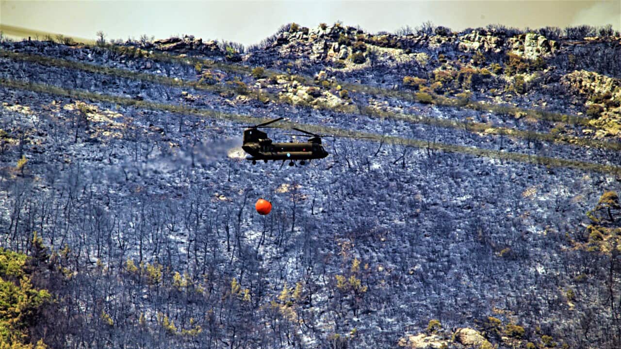 A military helicopter participates in a battle to extinguish a forest fire raging for the fourth day in the Dadia National Park, in Evros, northern Greece, 24 July 2022. Fire-fighting forces on the ground and in the air continued to battle the flames on 2