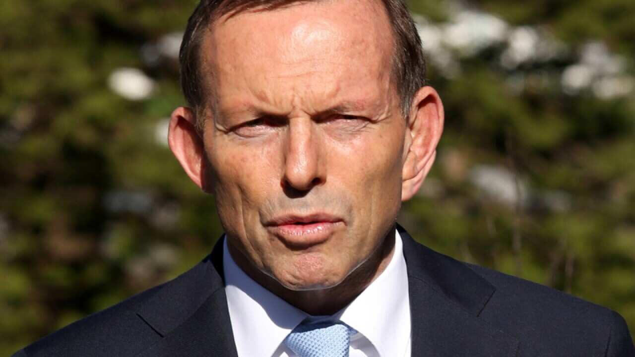 Abbott launches counter-offensive