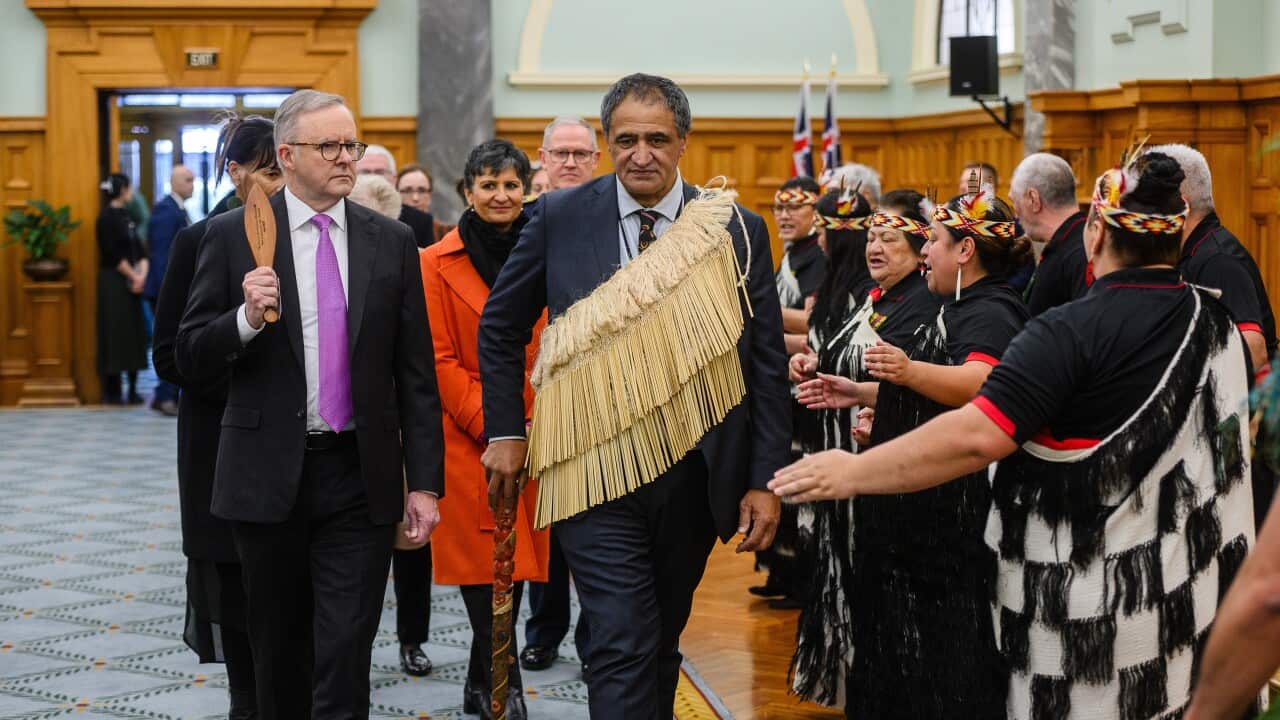 ANTHONY ALBANESE NZ VISIT