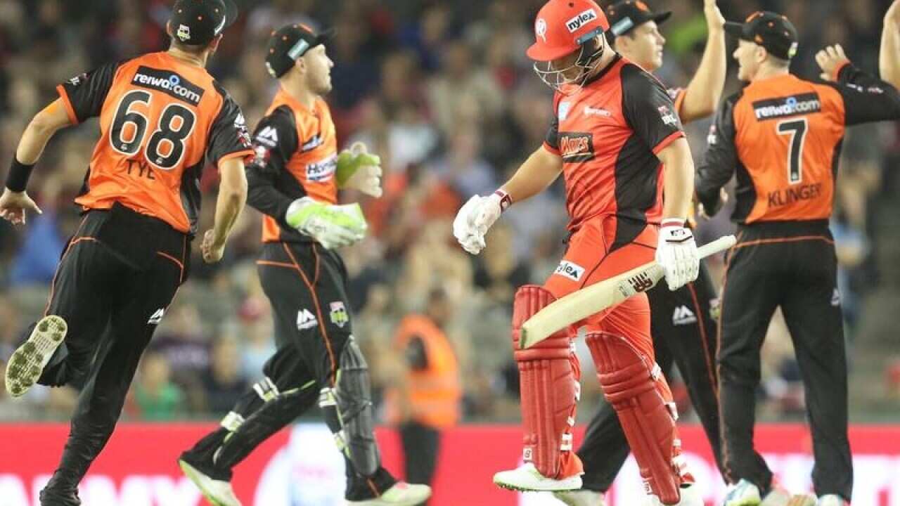 The Scorchers celebrate after getting out Aaron Finch