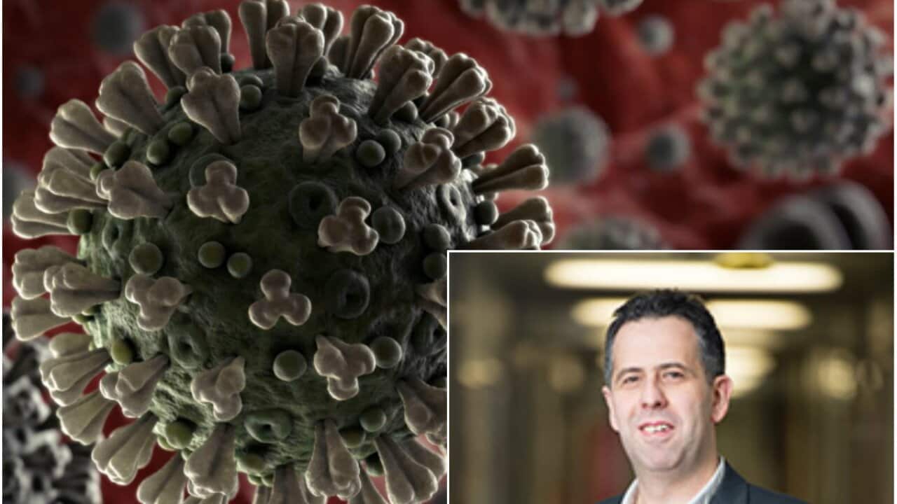 Microscopic illustration of coronavirus. Inset: Dr. Stavros Selemidis