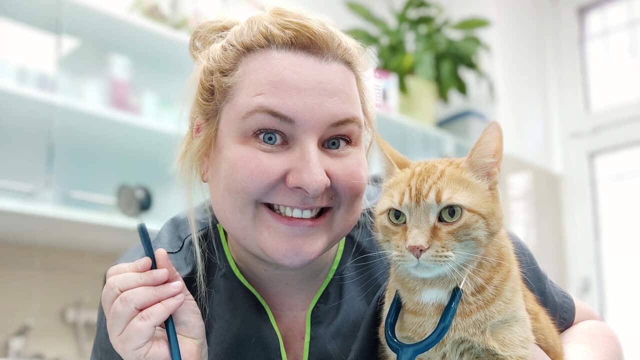 Image for read more article ''