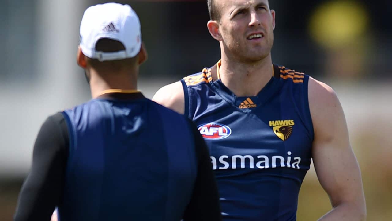 Hawthorn ruckman David Hale