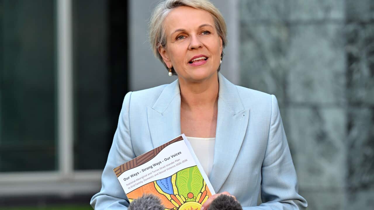 TANYA PLIBERSEK PRESSER
