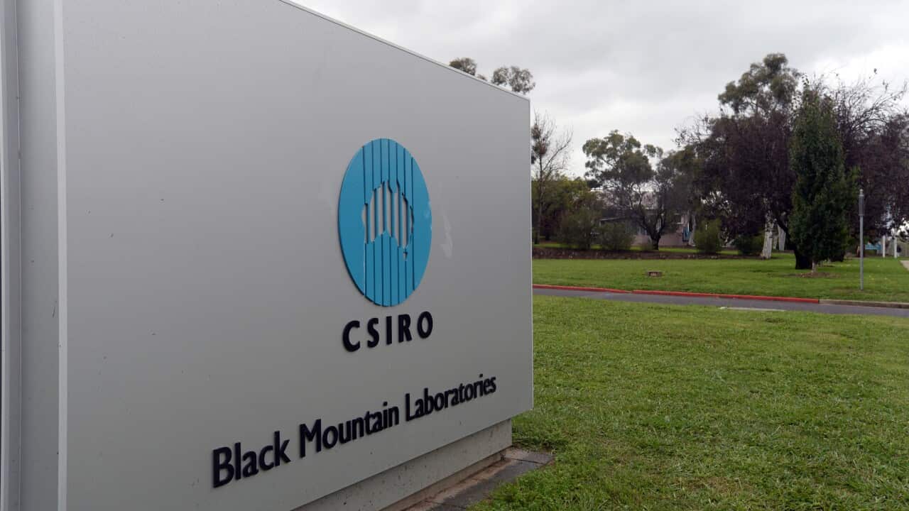 csiro_aap.jpg