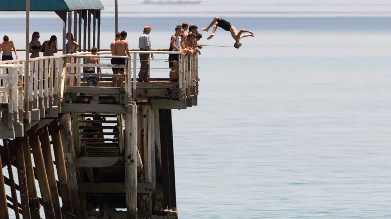 Jetty Jumpers escape the heat by cooling off at Henley Beach