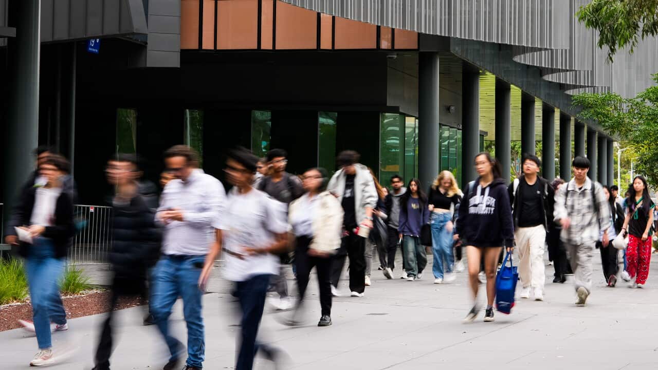 Albanese Government Delivers 2025 Budget