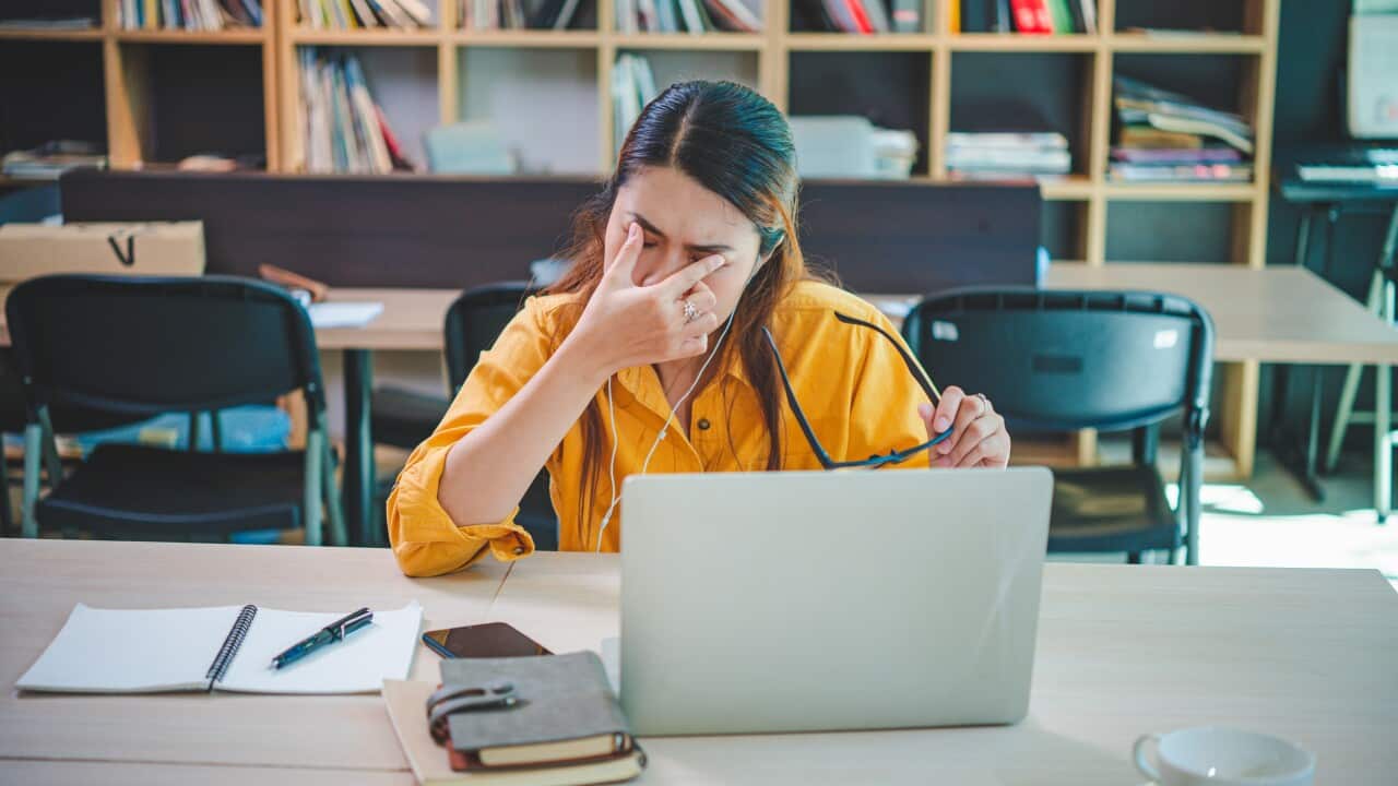 Image for read more article 'RELATED CONTENT'