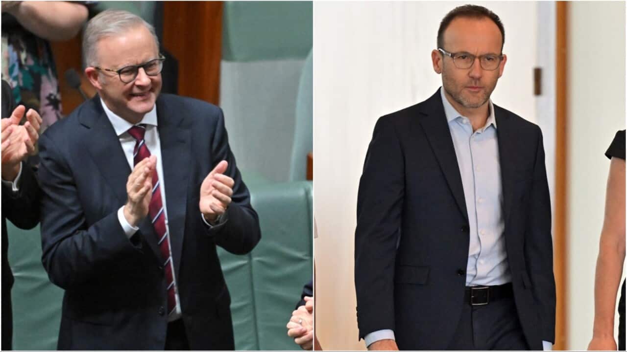 Prime Minister Anthony Albanese / Greens leader Adam Bandt