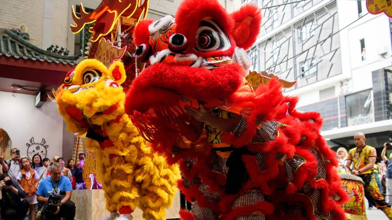 SYDNEY LUNAR FESTIVAL LAUNCH