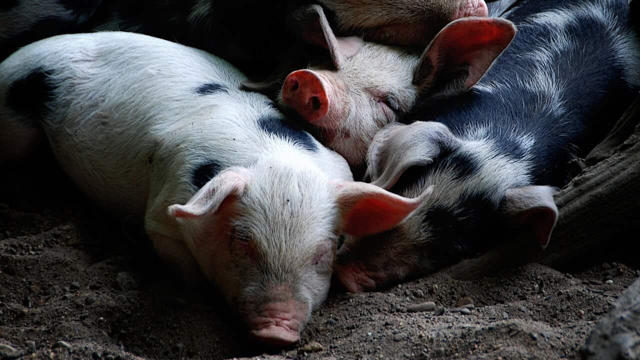 Image for read more article ''