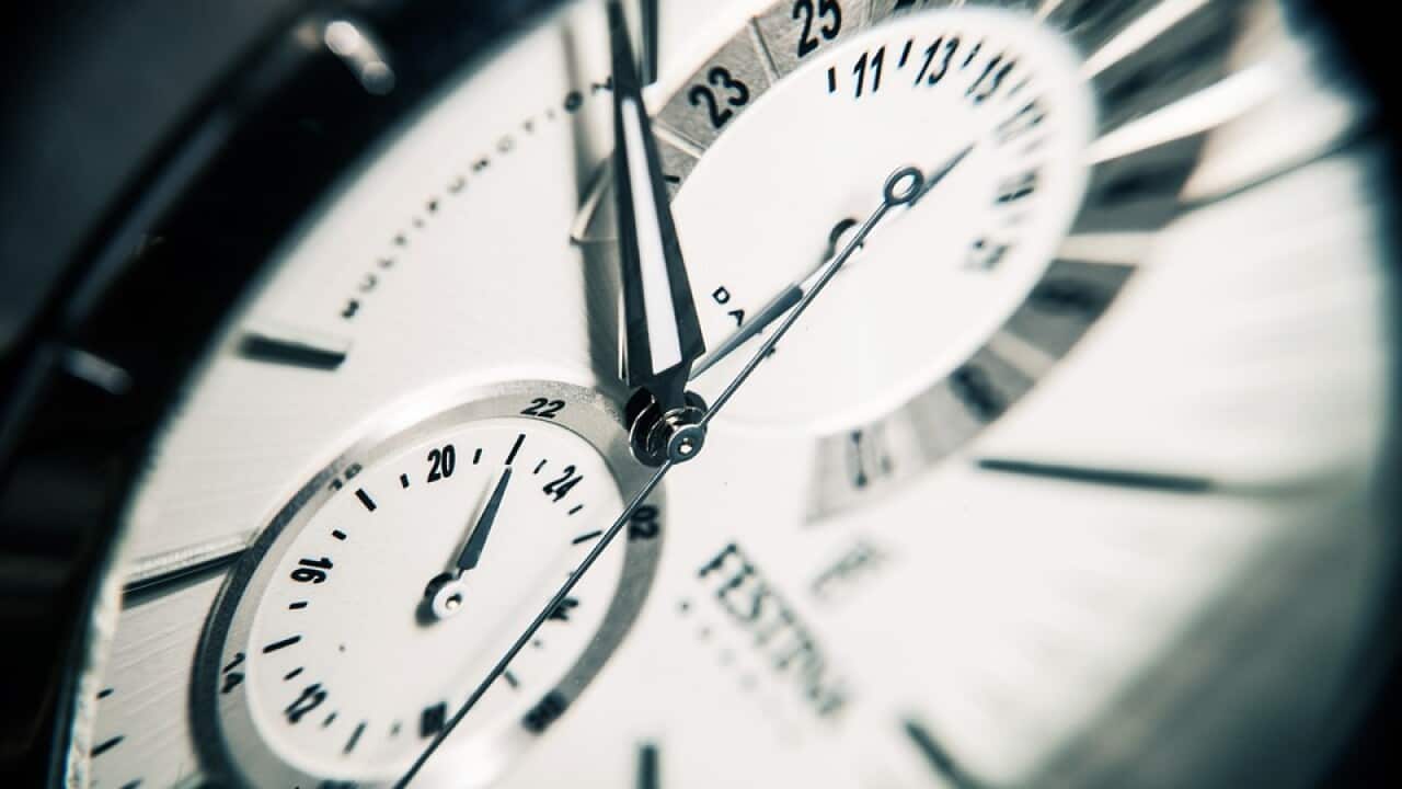 biological clock