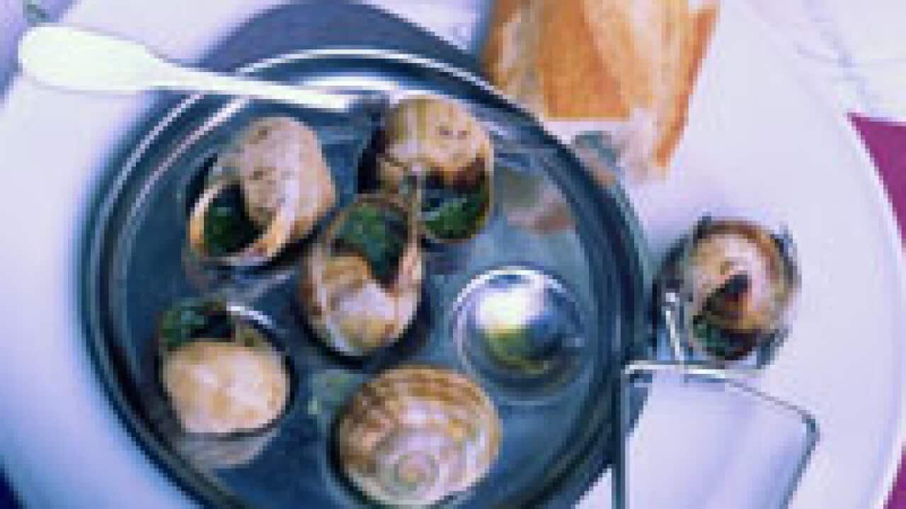 Recipe Finder