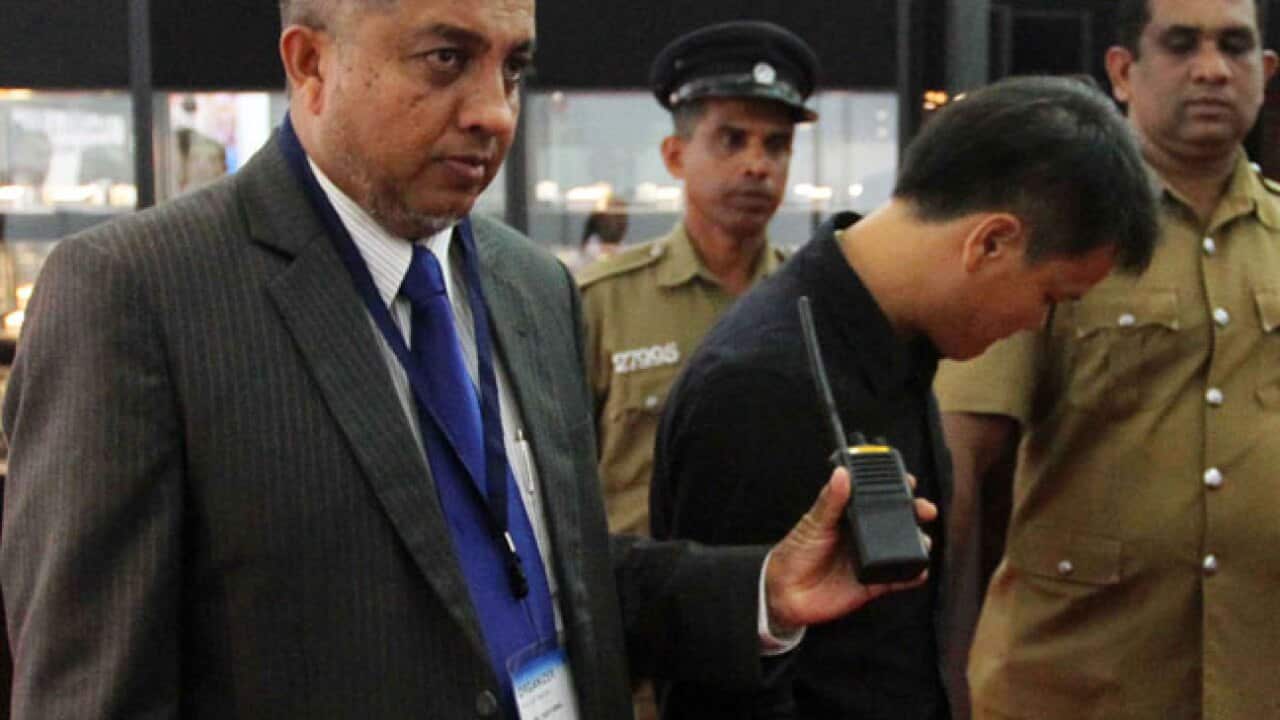 diamond_swallower_121106_b_getty_1269030045