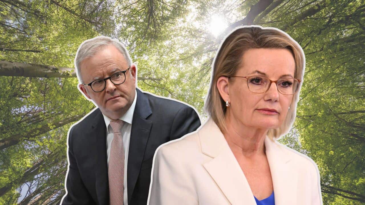 net zero politics australia.jpg