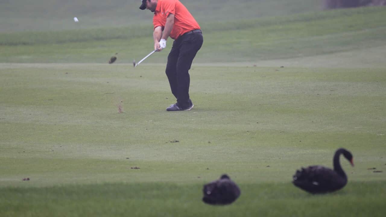 Steven Bowditch of Australia