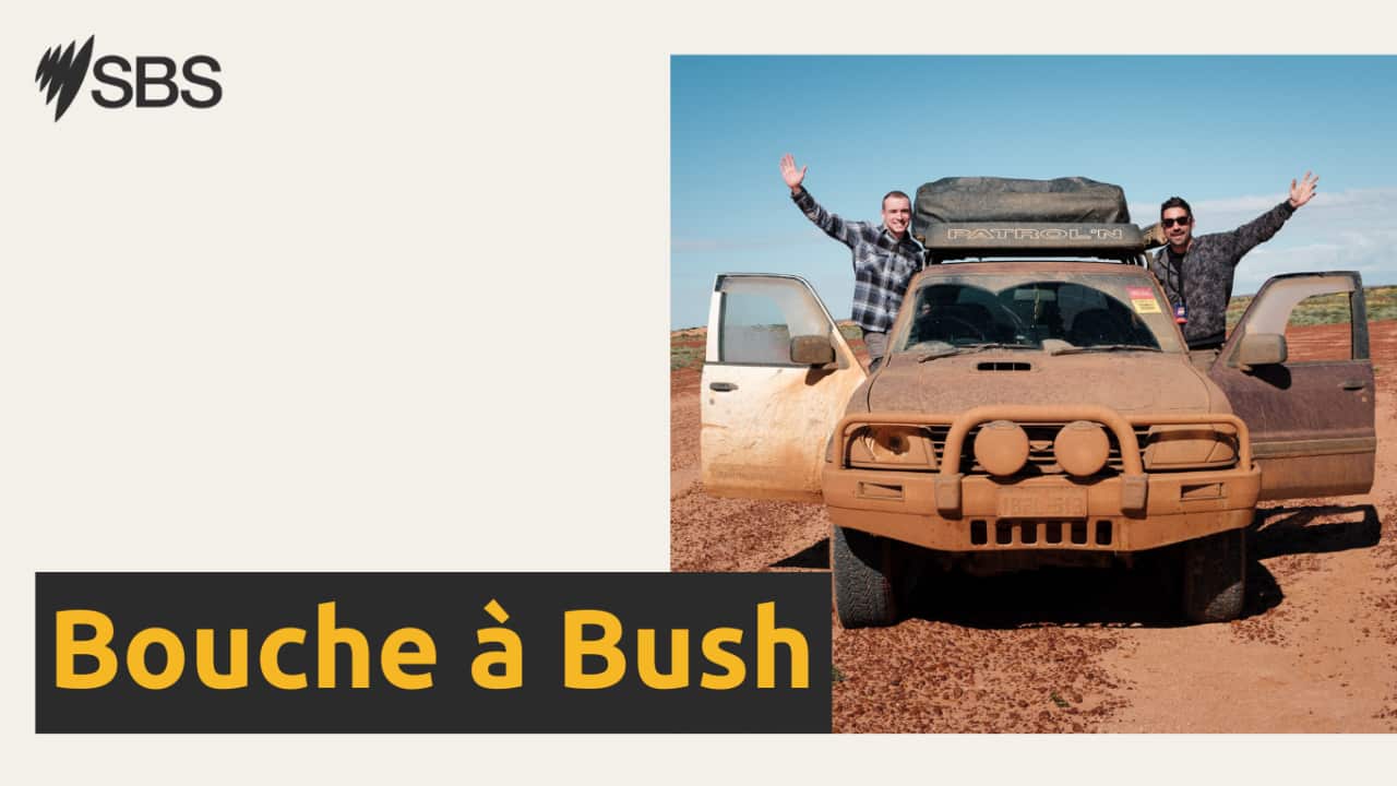 Bouche à Bush.png